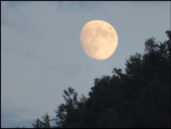 An almost full moon -reason for a sleepless night, maybe?